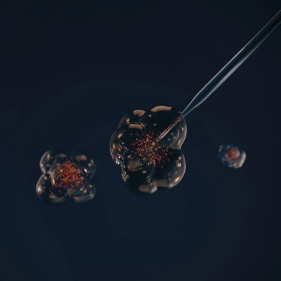 Un descubrimiento revolucionario en la ciencia del envejecimiento